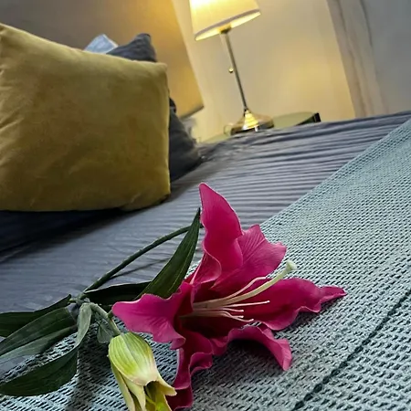 Tasev Гостевой дом 4*